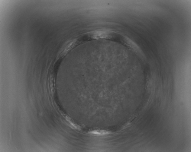 X0000081430169200701191631