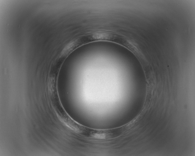 X0000081430171200701191631