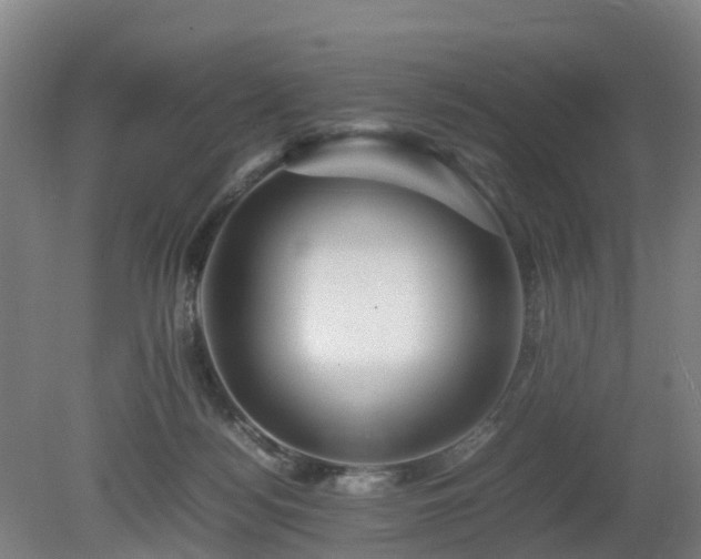 X0000081430172200701191631