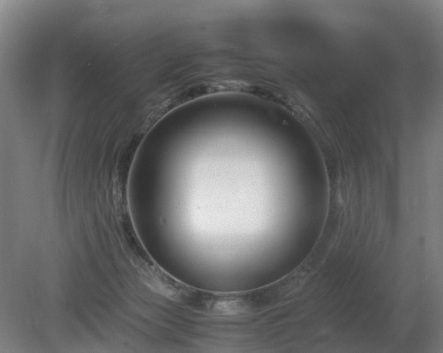 X0000081430173200701191631