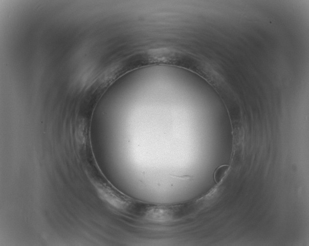 X0000081430174200701191631