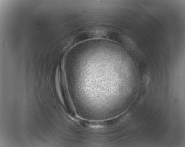 X0000081430177200701191631