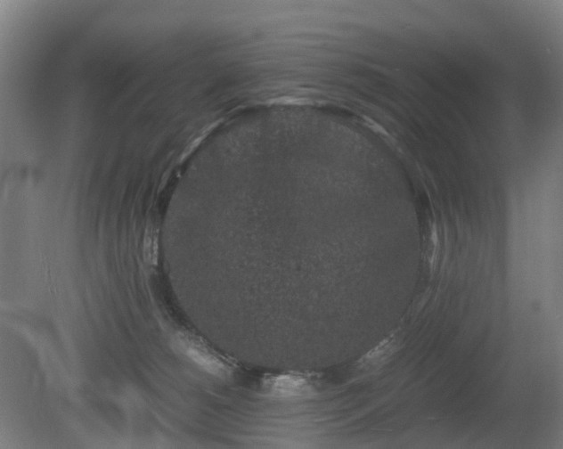 X0000081430180200701191631