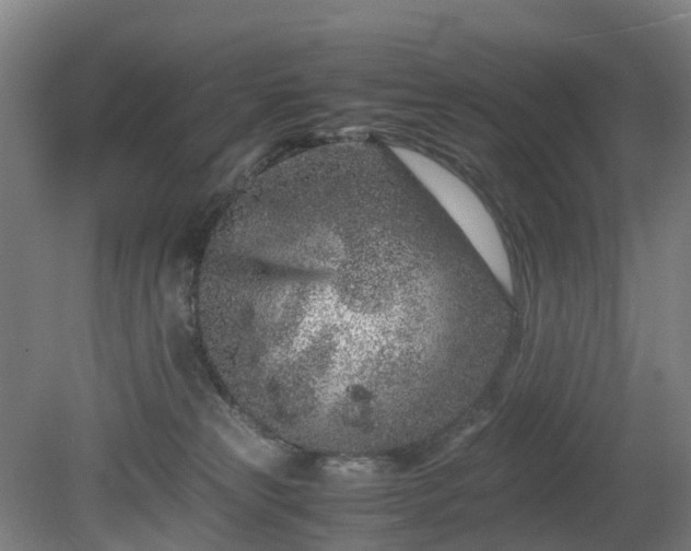 X0000081430181200701191631