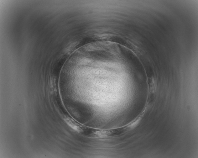 X0000081430182200701191631