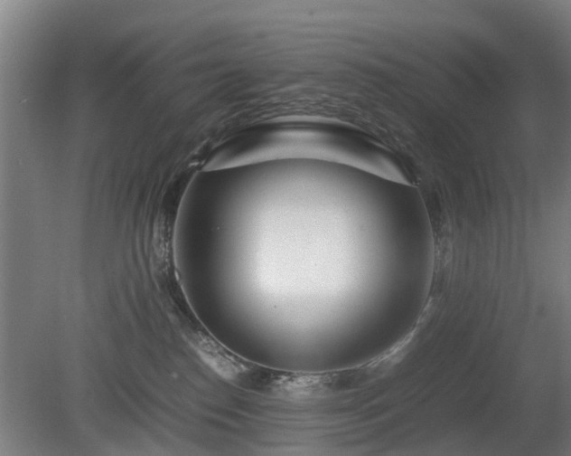 X0000081430186200701191631