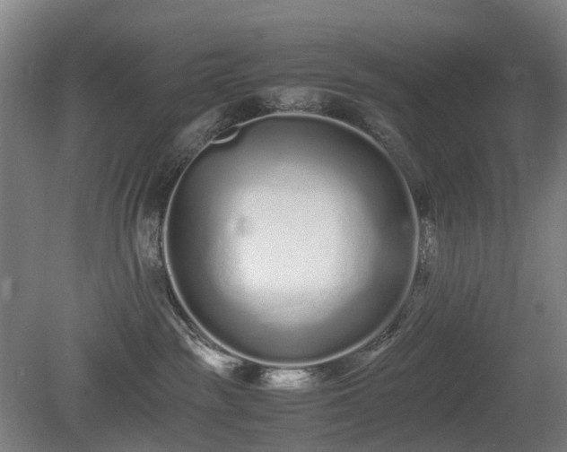 X0000081430189200701191631