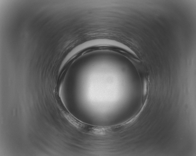 X0000081430190200701191631