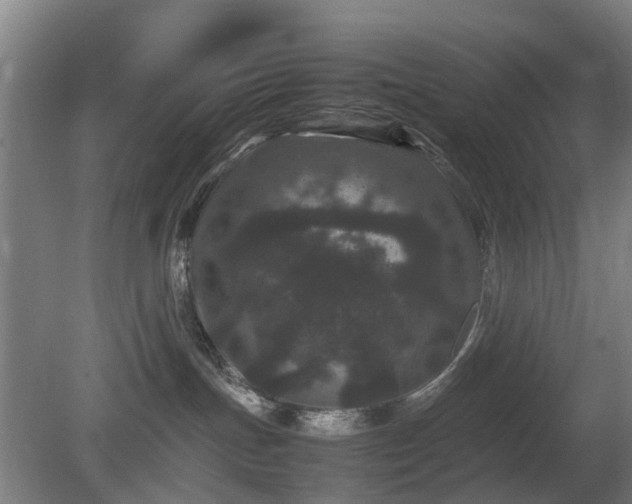 X0000081430191200701191631