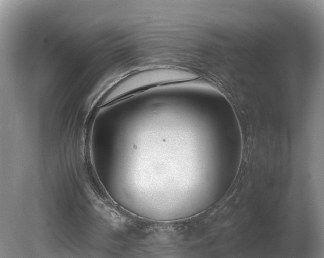 X0000081430194200701191631