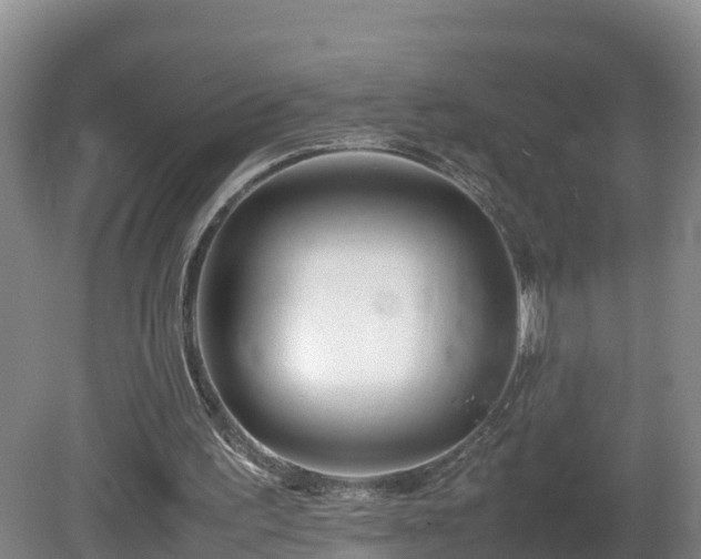 X0000081430195200701191631