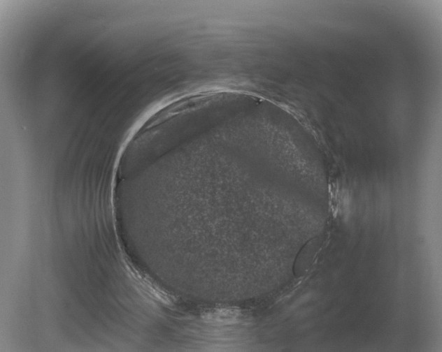 X0000081430196200701191631