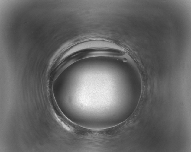 X0000081430197200701191631