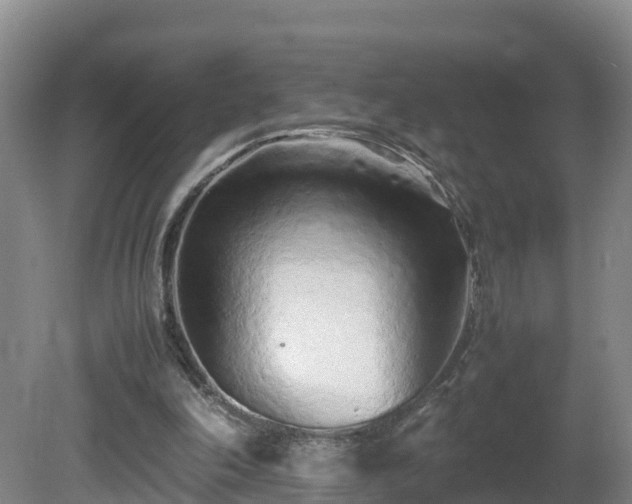 X0000081430198200701191631