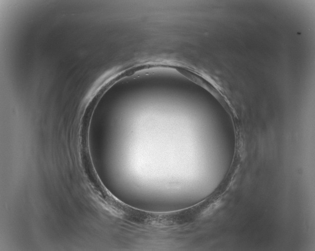 X0000081430199200701191631