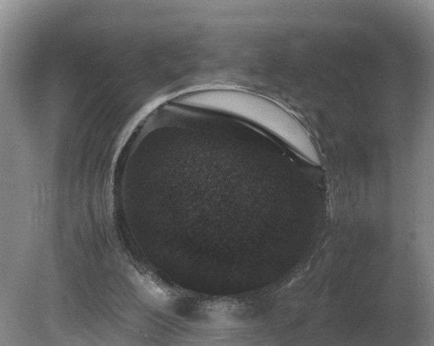 X0000081430200200701191631