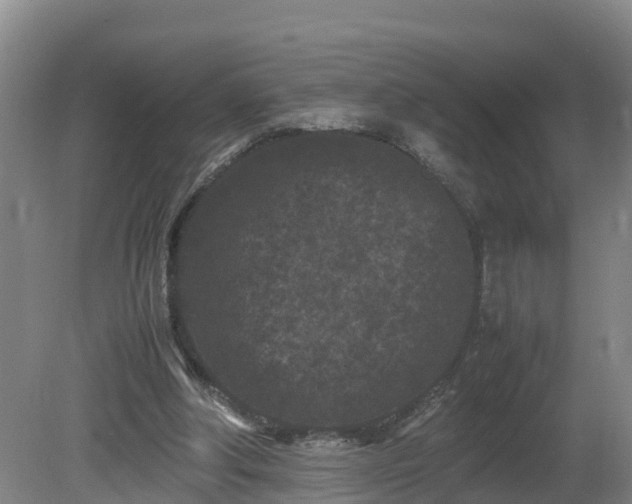 X0000081430202200701191630