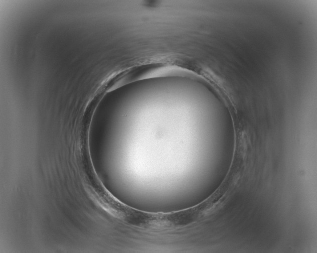 X0000081430203200701191630