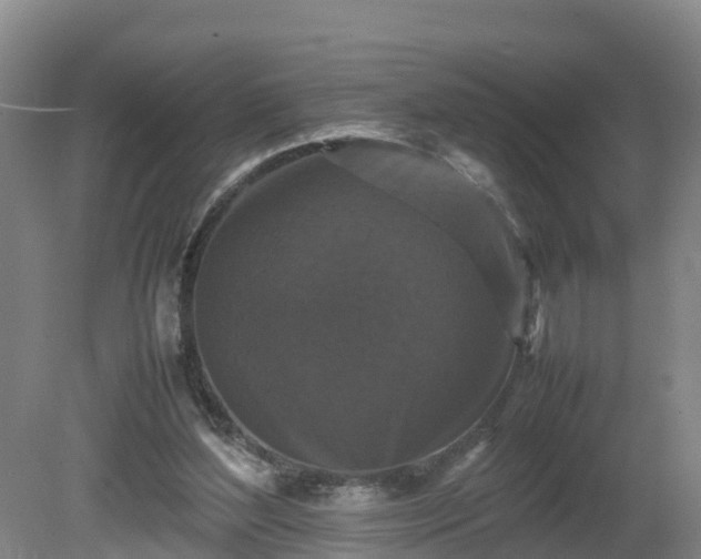 X0000081430204200701191630