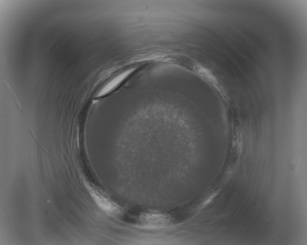 X0000081430205200701191630