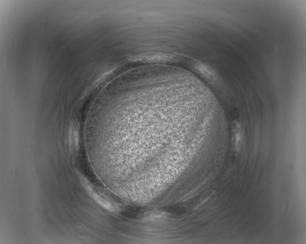 X0000081430206200701191630