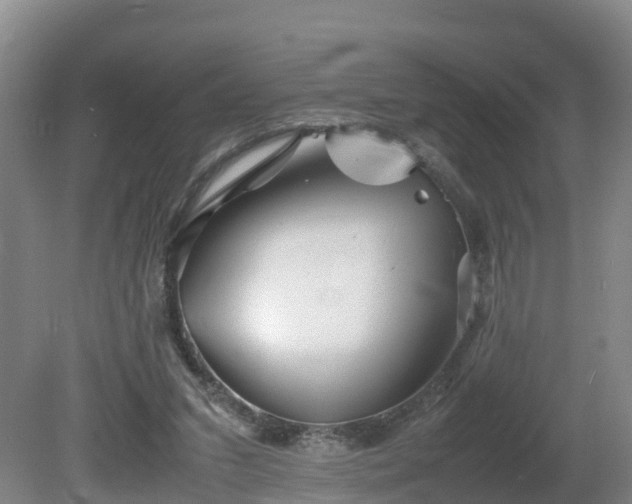 X0000081430207200701191630