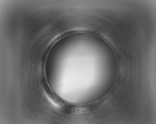 X0000081430208200701191630