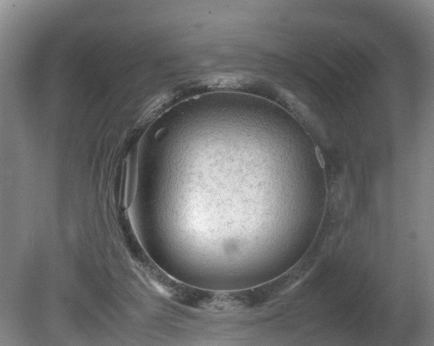 X0000081430209200701191630