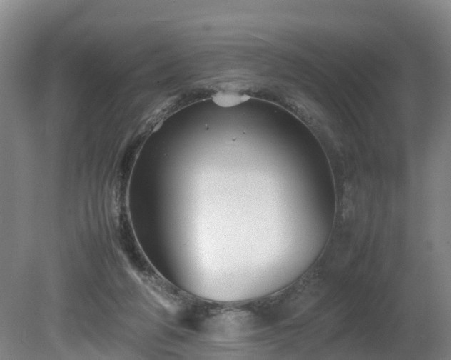 X0000081430210200701191630