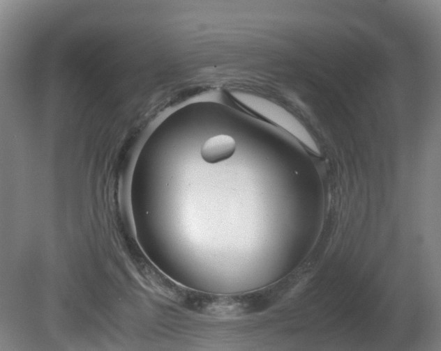 X0000081430213200701191630