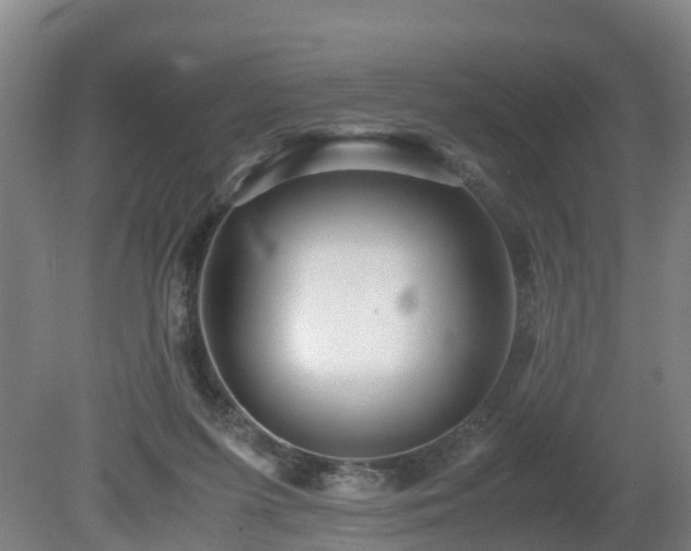 X0000081430215200701191630