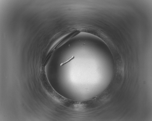 X0000081430216200701191630