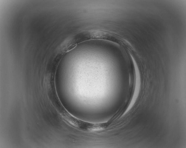 X0000081430217200701191630