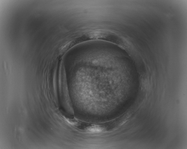 X0000081430219200701191630