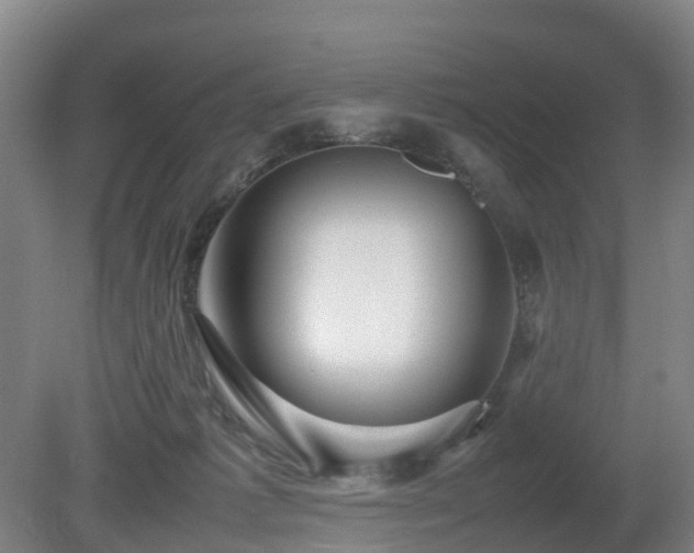 X0000081430221200701191630