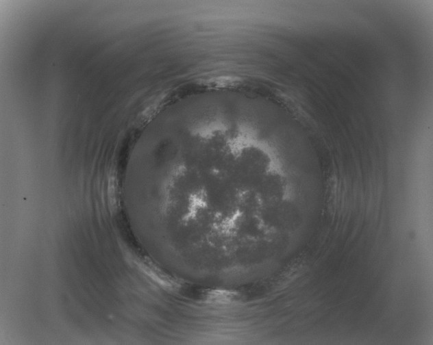 X0000081430222200701191630