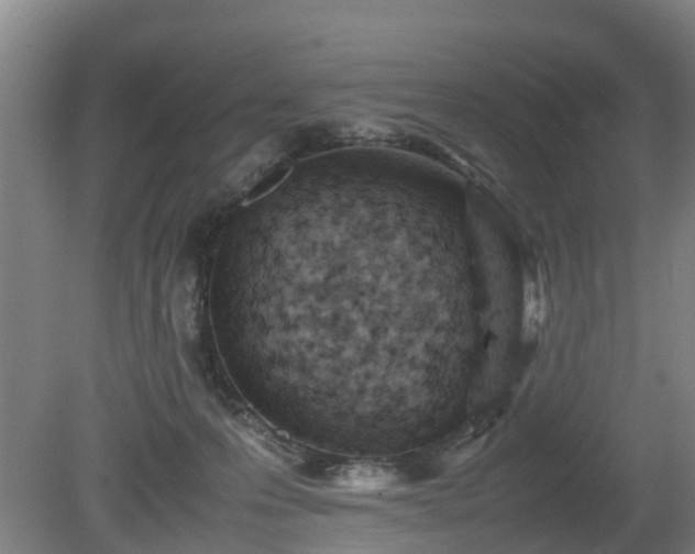 X0000081430223200701191630