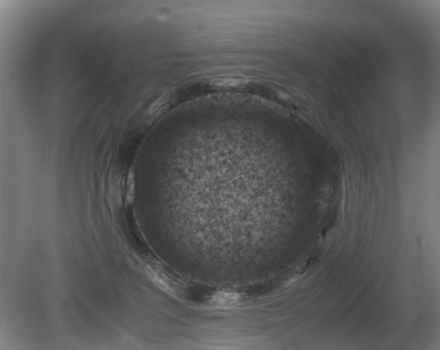 X0000081430227200701191630