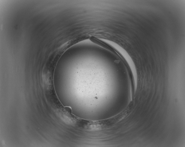 X0000081430228200701191630