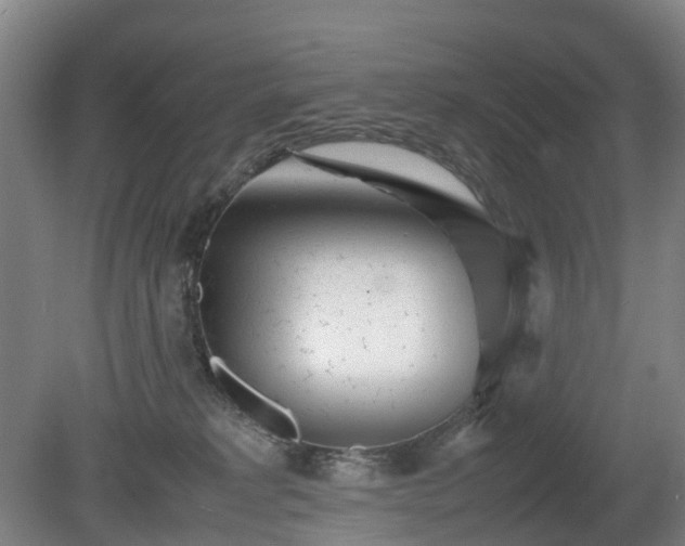 X0000081430229200701191630