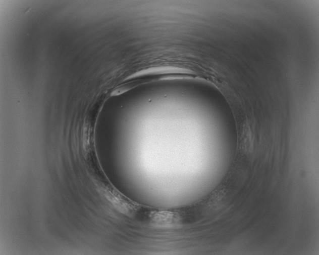 X0000081430230200701191630