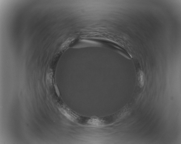 X0000081430231200701191630