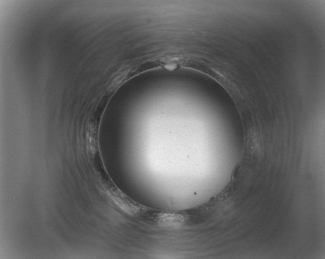 X0000081430234200701191630