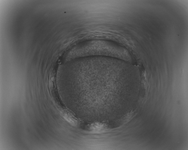 X0000081430235200701191630