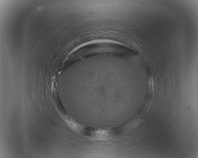 X0000081430237200701191630