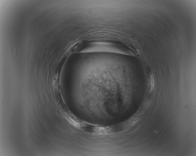 X0000081430239200701191630