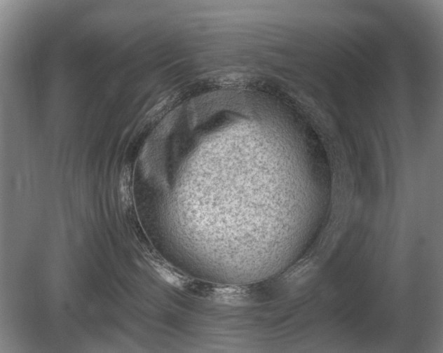 X0000081430240200701191630