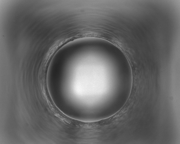 X0000081430241200701191629