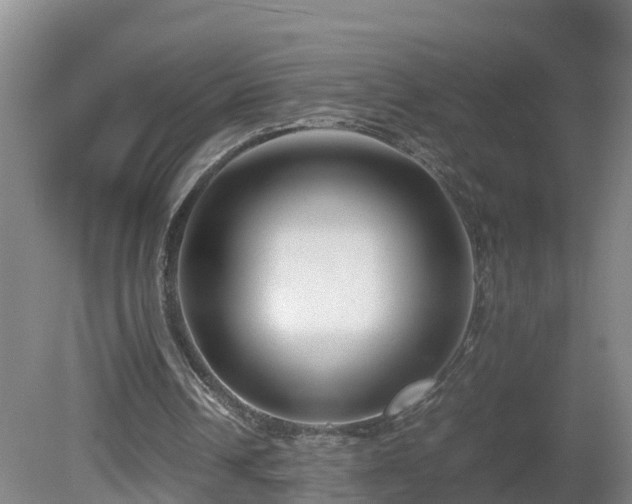 X0000081430242200701191629