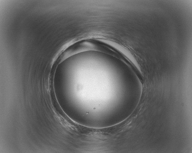 X0000081430244200701191629